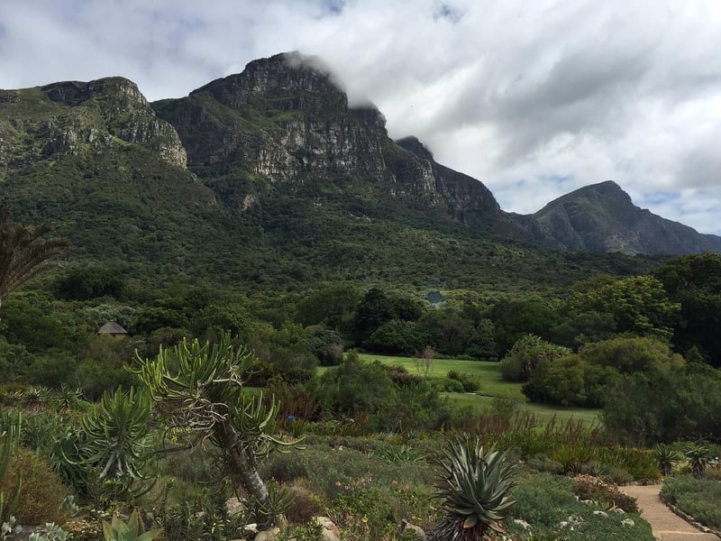 Kirstenbosch National Botanical Garden