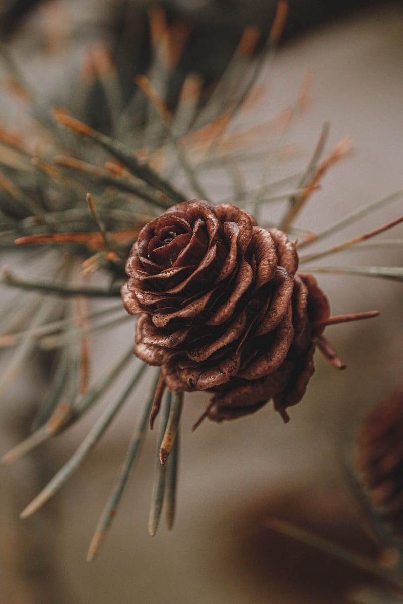 Woodland Wedding